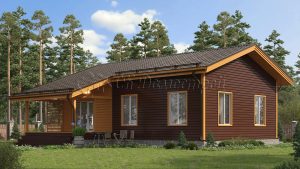 Дом «Григорьев» 8х12 м