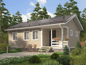 Дом «Владиславов» 6х10 м