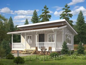 Дом «Трофимов» 6х8 м