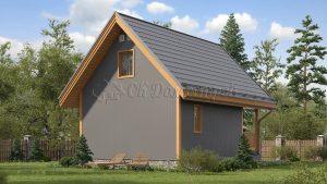 Дом «Алевтинов» 6х8 м